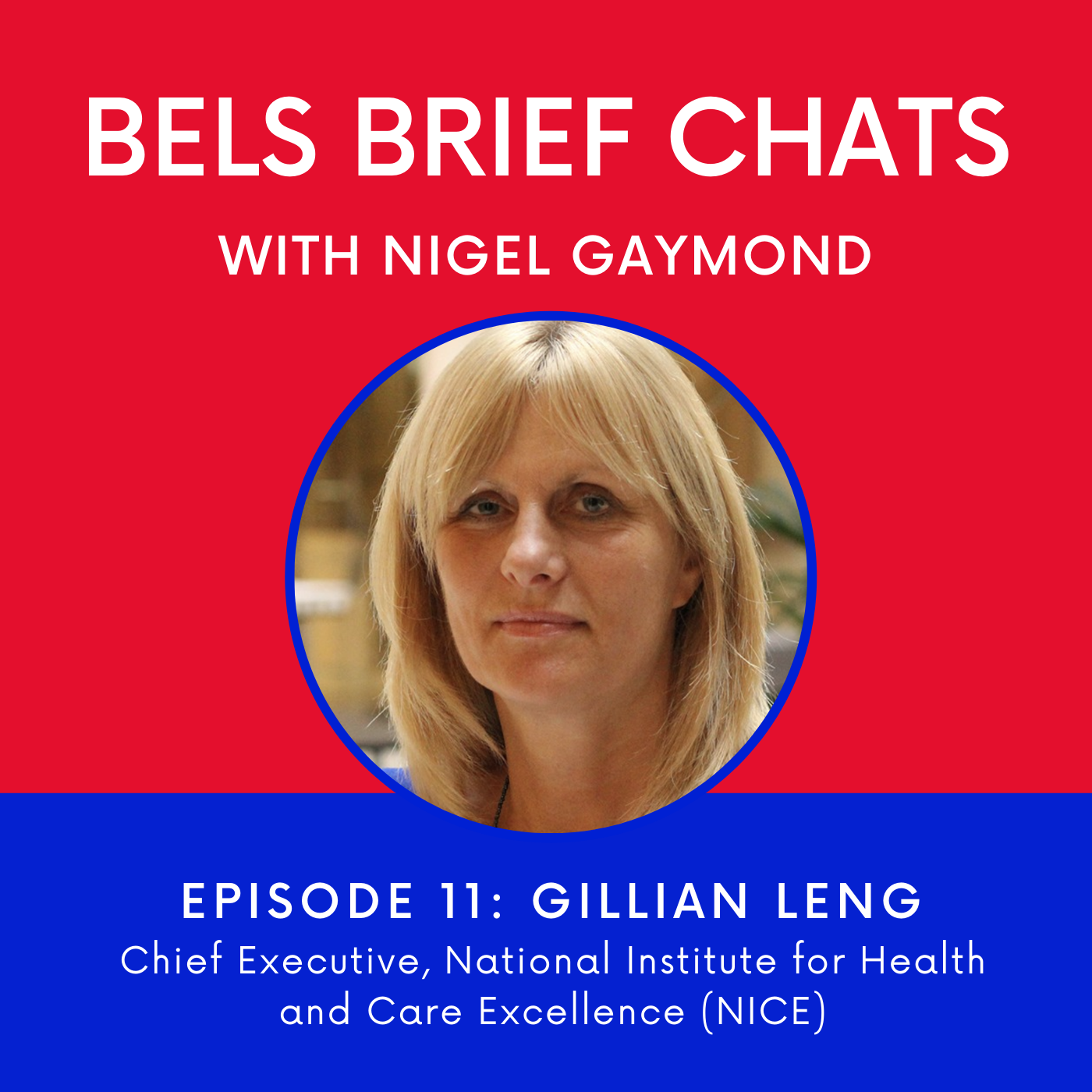 BELS Brief Chats podcast